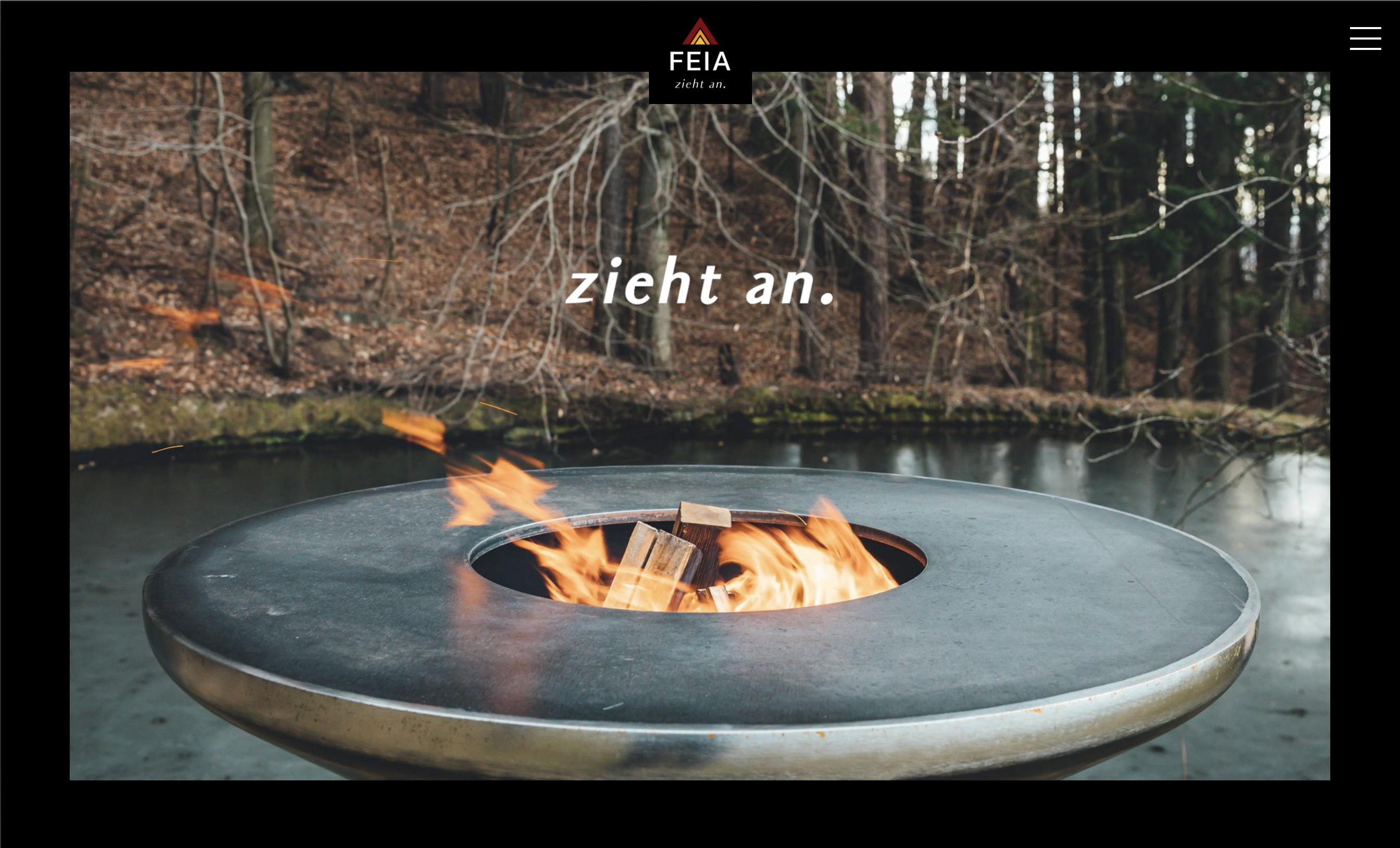 FEIA-Website